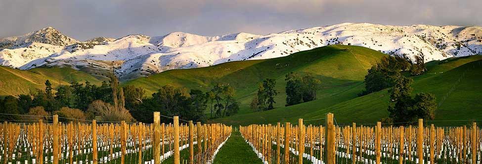 Marlborough Vintners Accommodation 布伦海姆 外观 照片