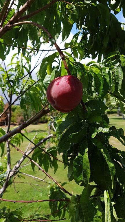 Marlborough Vintners Accommodation 布伦海姆 外观 照片