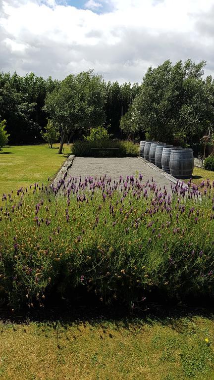 Marlborough Vintners Accommodation 布伦海姆 外观 照片