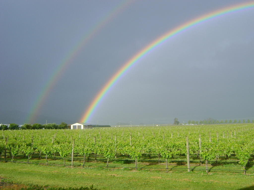 Marlborough Vintners Accommodation 布伦海姆 外观 照片