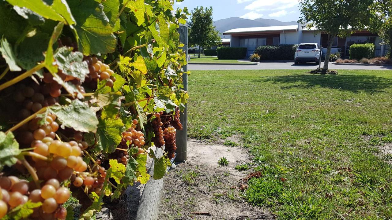 Marlborough Vintners Accommodation 布伦海姆 外观 照片
